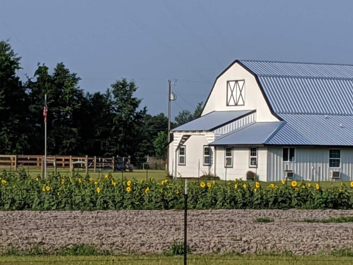 Bunkhouse Farm Stay Fort White Zewnętrze zdjęcie